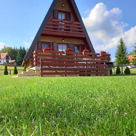 Mountain House Tadic 1 Villa บายินา บาชตา ภายนอก รูปภาพ