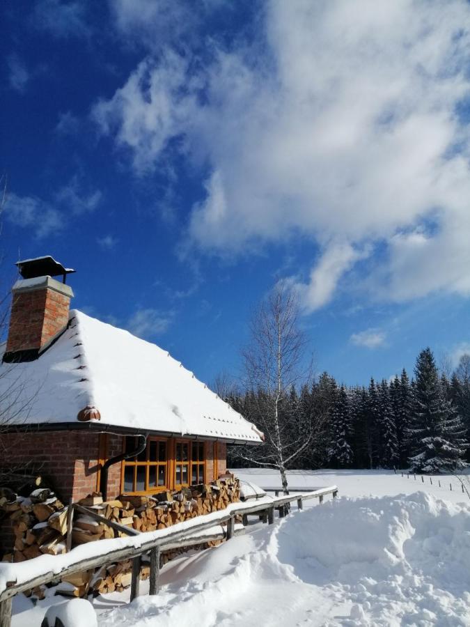 Mountain House Tadic 1 Villa บายินา บาชตา ภายนอก รูปภาพ